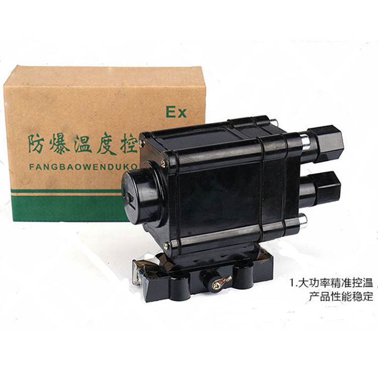 防爆溫度控制器